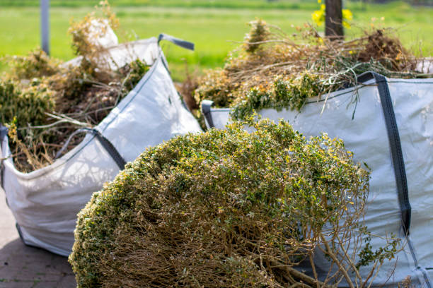 Best Estate Cleanout  in Anna, TX